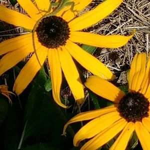 Meet your Posher, Viktoria